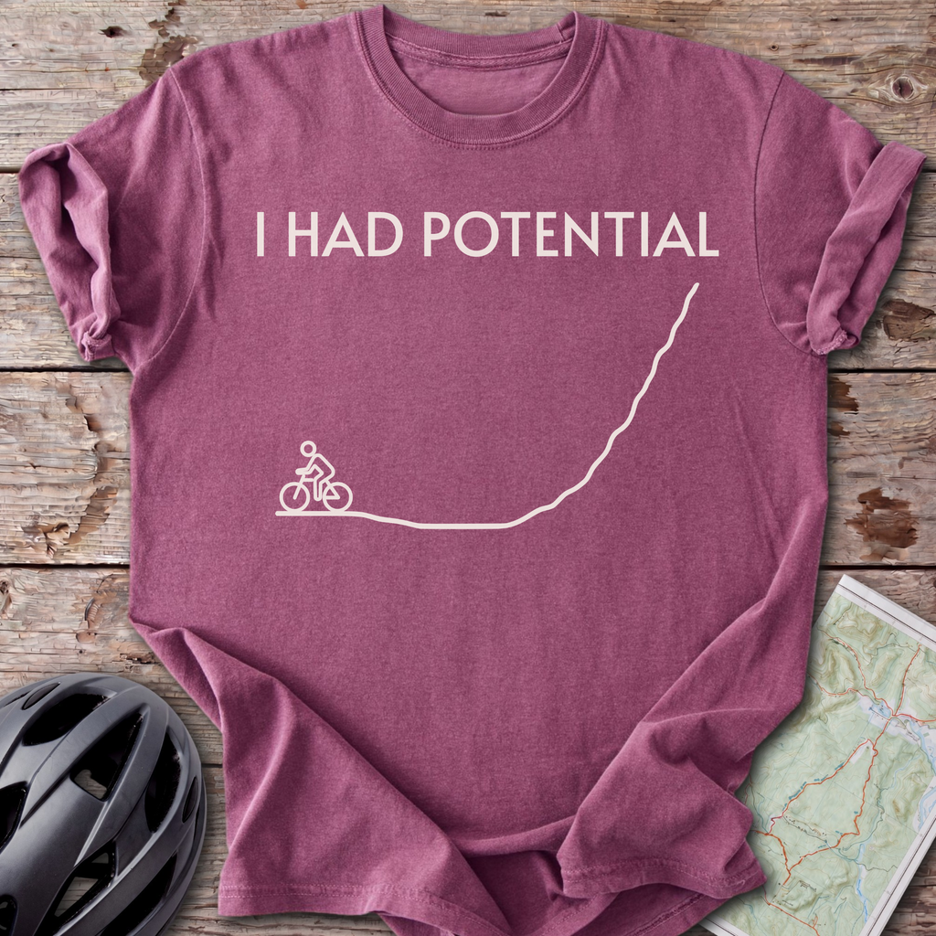 Had Potential T-shirt
