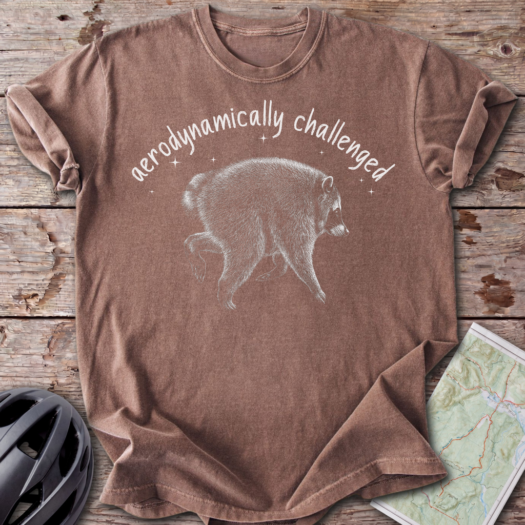 Aerodynamically Challenged T-shirt