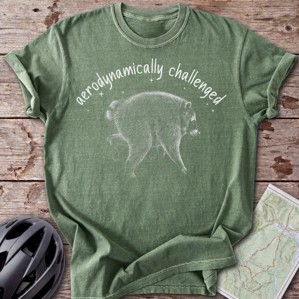 Aerodynamically Challenged T-shirt