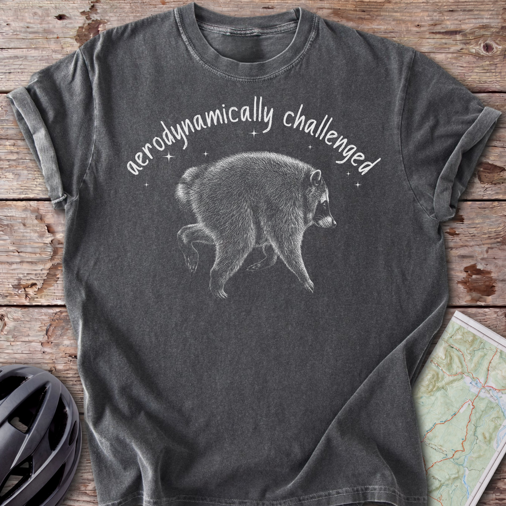 Aerodynamically Challenged T-shirt